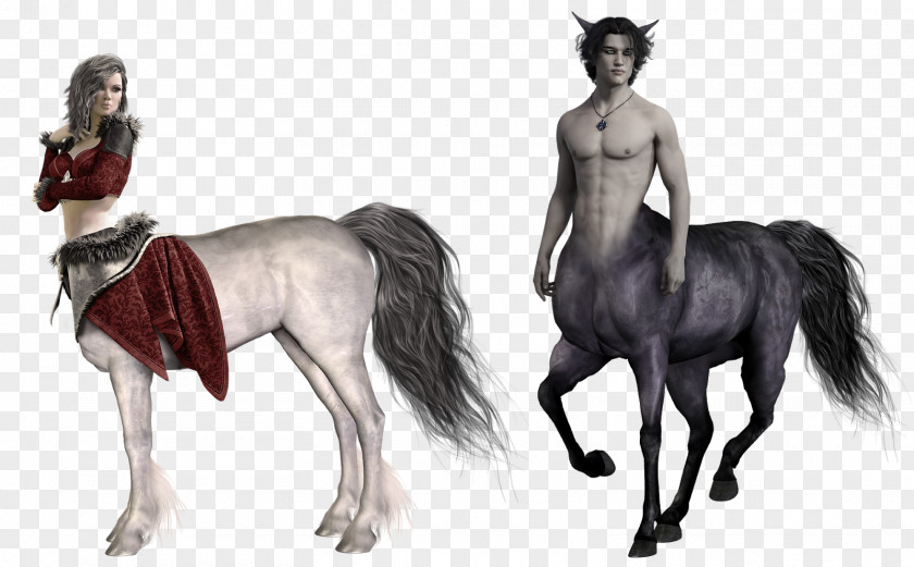 Centaur Sagittarius Photography Horoscope PNG