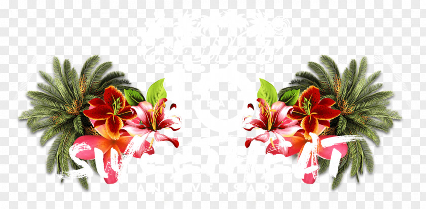 Design Floral Cut Flowers Flowering Plant PNG