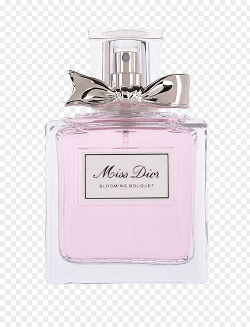 Dior Perfume Christian SE Parfums PNG
