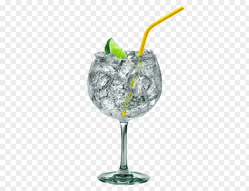Gin Fizz And Tonic Cocktail Garnish Water PNG
