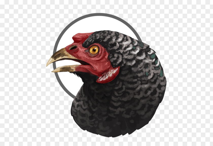 Jurassic World Owen Rooster Beak PNG