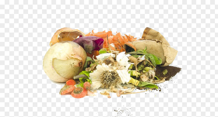 Organic Food Waste Compost PNG