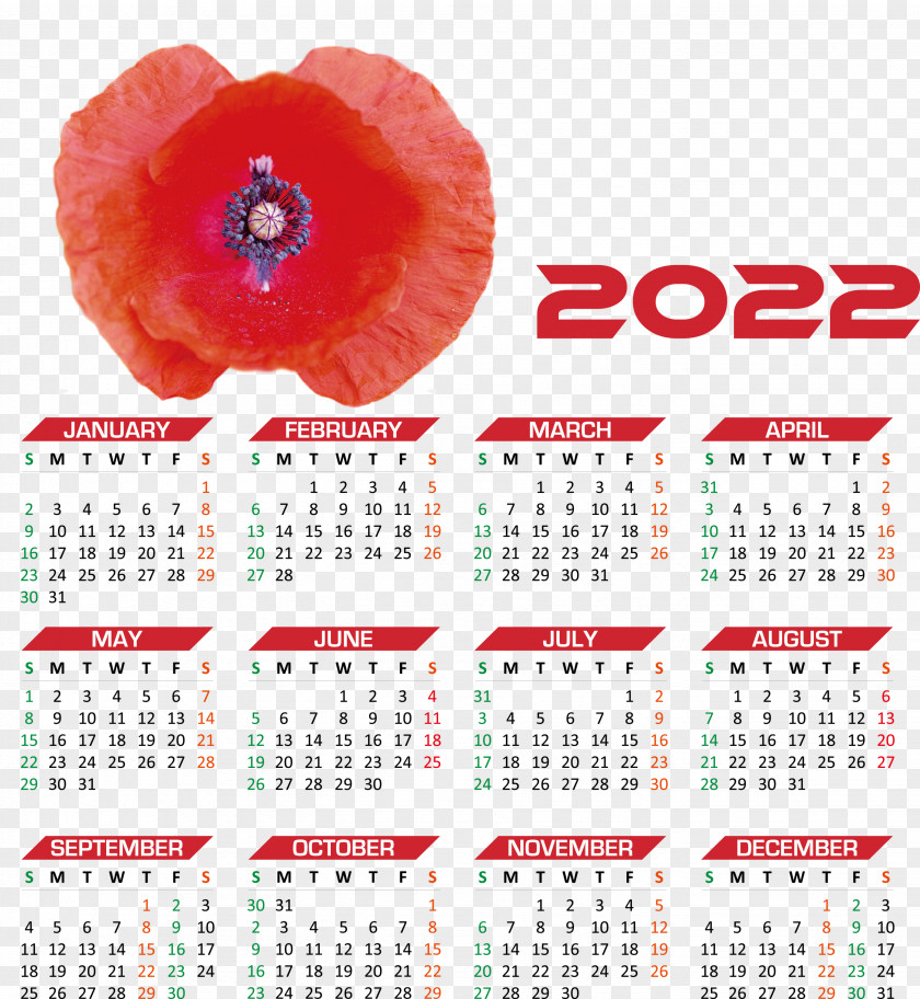 2022 Calendar Year 2022 Calendar Yearly 2022 Calendar PNG