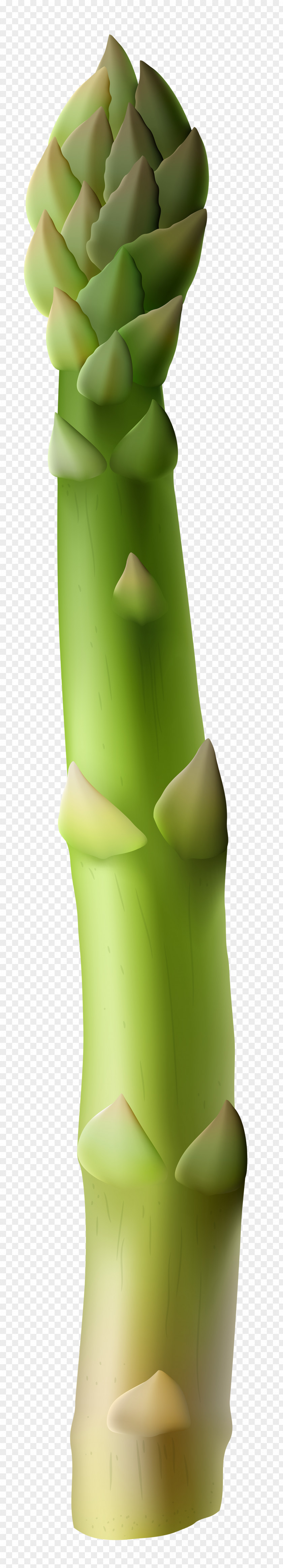 Asparagus Clip Art Image Vase Design Product PNG