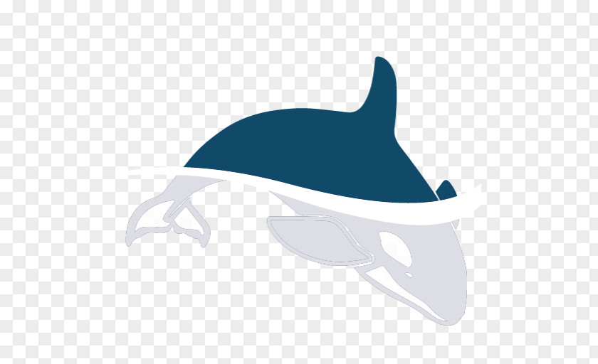 Dolphin Porpoise Download Killer Whale PNG