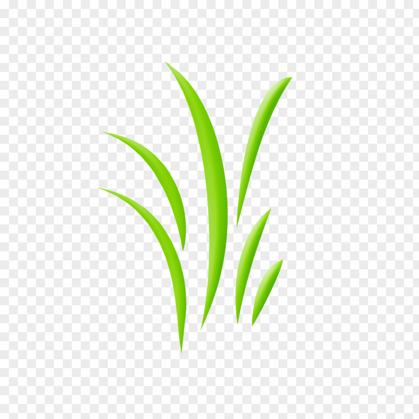 Elements Of A Narrative Story Leaf Plant Stem Line Grasses PNG