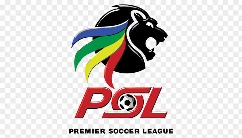 Football National First Division South Africa Black Leopards F.C. Sports League MTN8 PNG