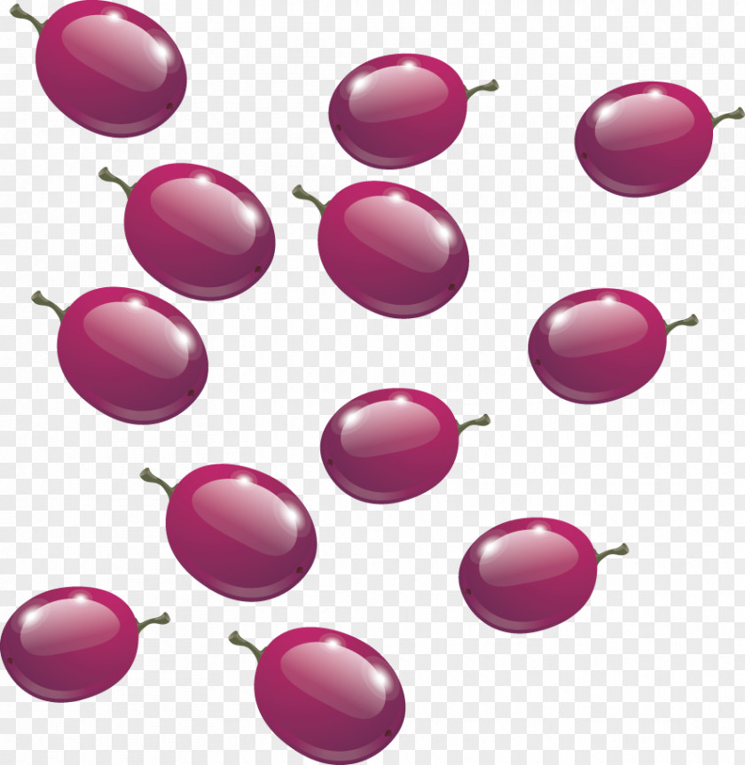 Grape Vector Material Wine Vitis Amurensis PNG