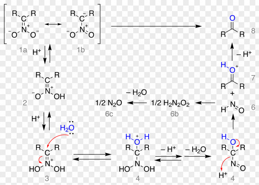 Salt Nef Reaction Nitronate Iminium Resonance Nitroethane PNG