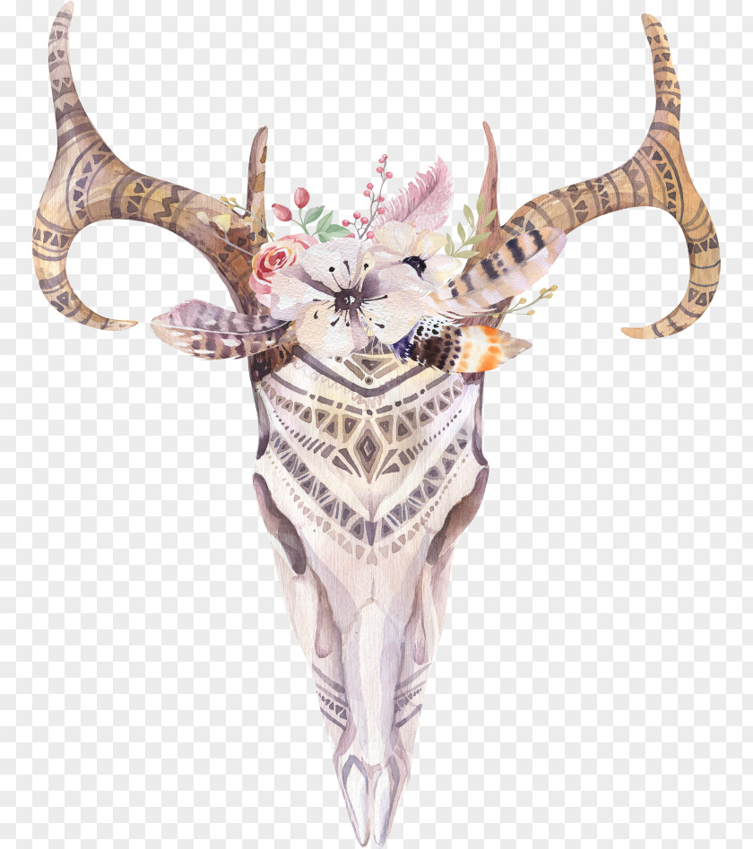 Skull Cattle Cow's Skull: Red, White, And Blue Boho-chic Watercolor Painting PNG