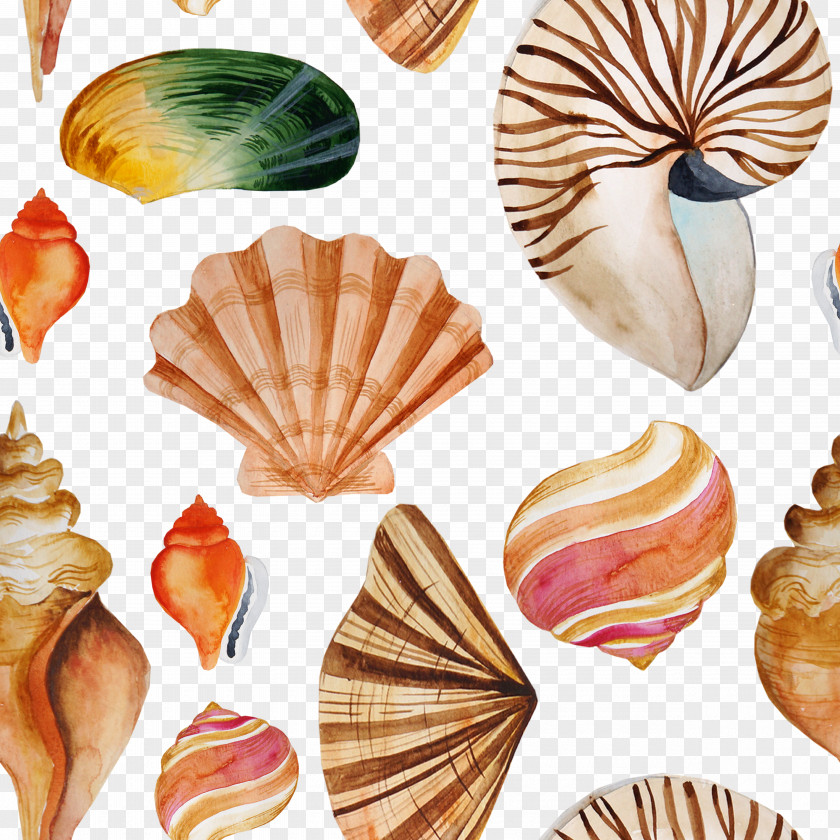 Tile Shading Shellfish Seashell Textile Tayrona Store PNG