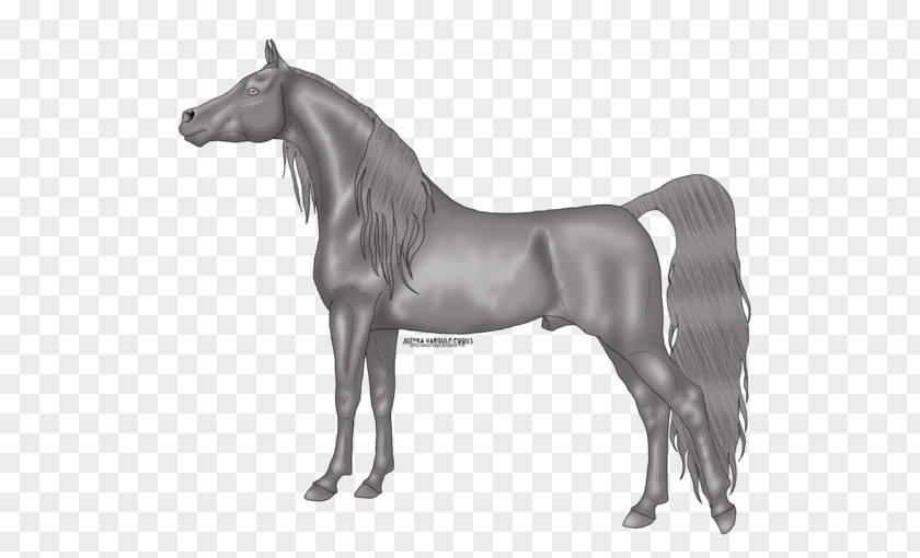 Arabian Horse Stallion Mustang Mane Mare PNG