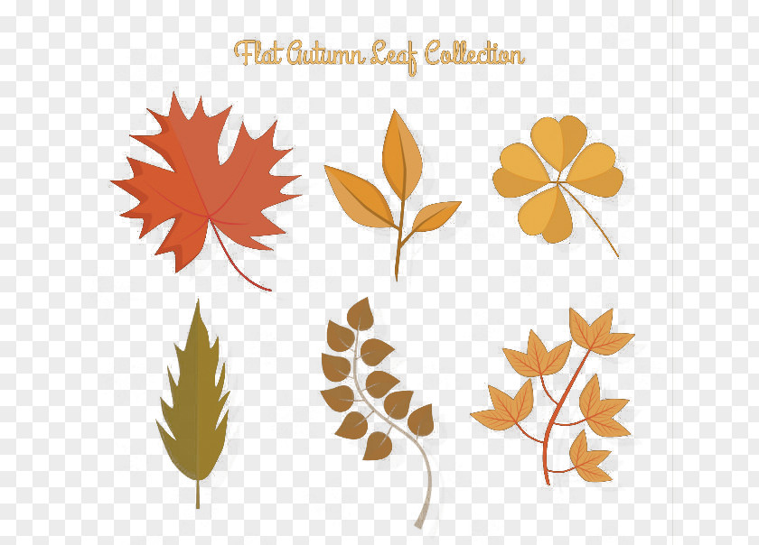 Autumn Leaves Vector Material Clip Art PNG