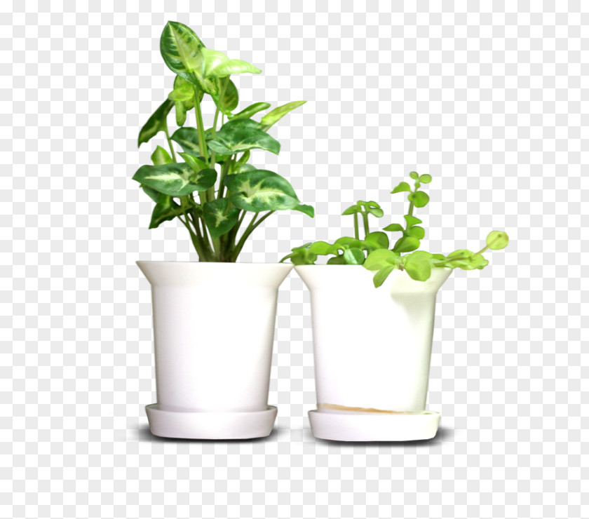 Cooking Design Flowerpot Adobe Photoshop Image PNG