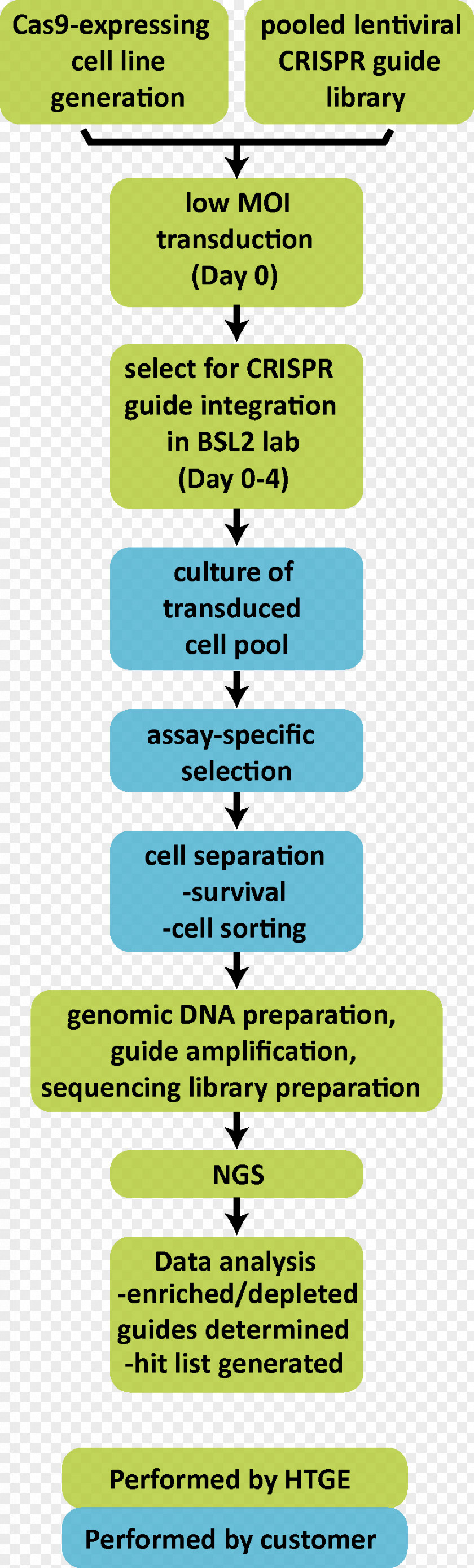 Karolinska Institute CRISPR Genome Editing Cas9 Gene Knockout PNG