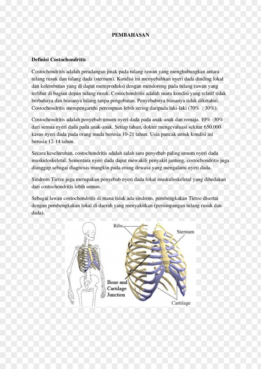 Line Paper Homo Sapiens Angle PNG