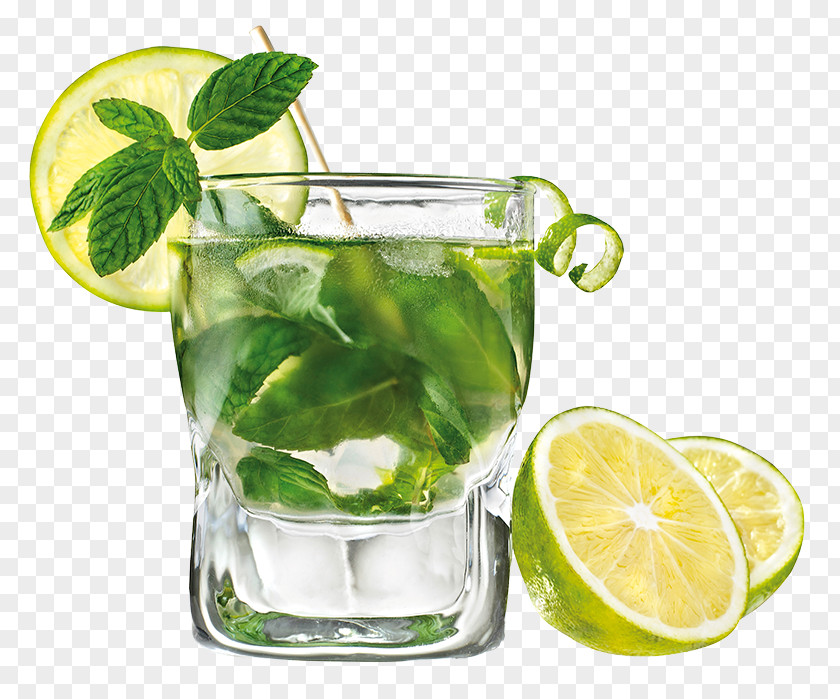 Mojito Photos Rum Cocktail Carbonated Water Lemonade PNG