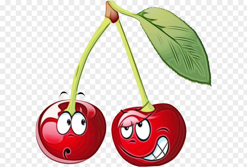 Smile Prunus Cherry Red Plant Fruit Clip Art PNG