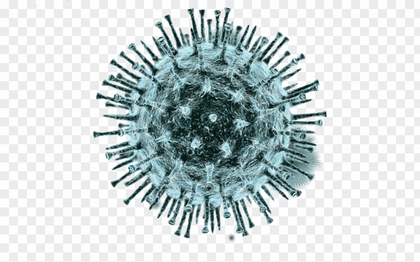 Virus Viral Vector Clip Art PNG