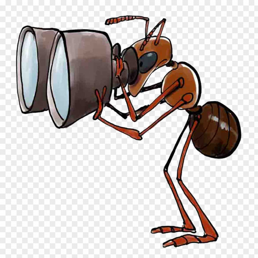 Ant Association Bourgogne-Nature Magnifying Glass Image Observation PNG