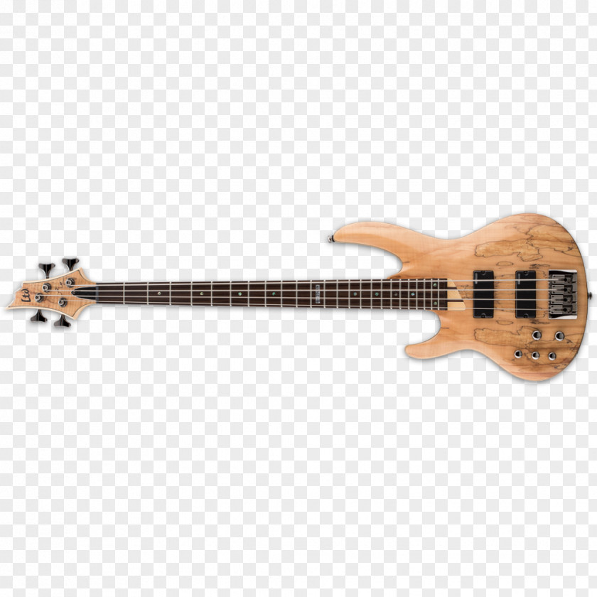 Bass Guitar ESP LTD EC-1000 Electric Guitars PNG