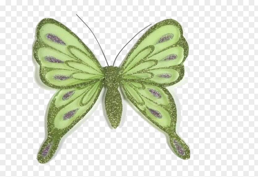 Butterfly Nymphalidae Pieridae Pink Moth PNG