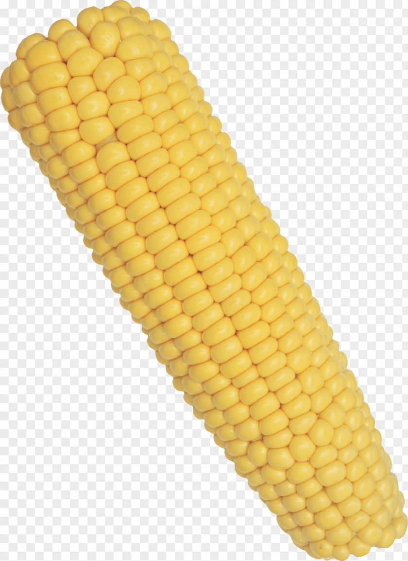 Corn Image On The Cob Maize PNG