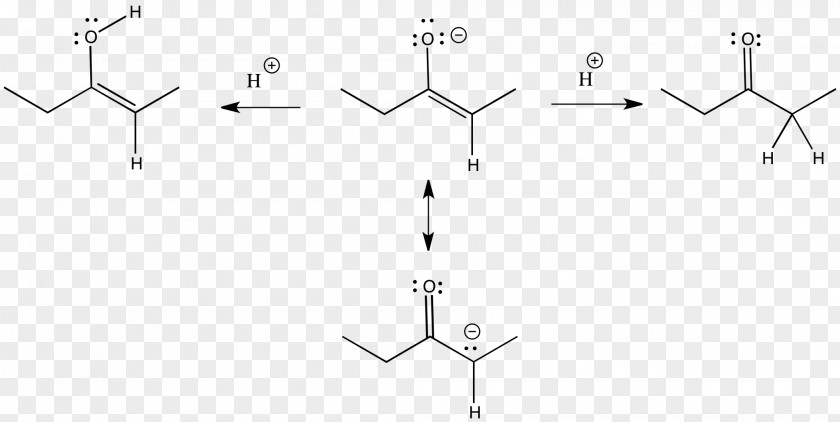 Enolate Anion Nucleophile Carbonyl Group PNG