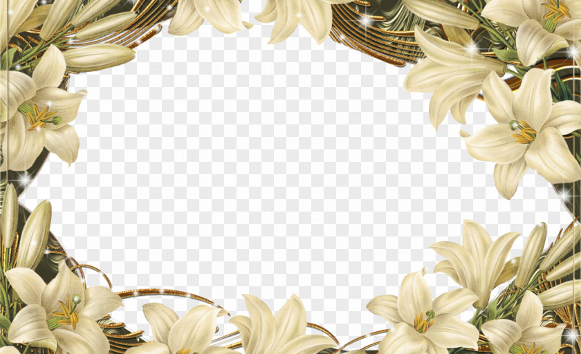 Flower Frame Border Floral Design Picture PNG