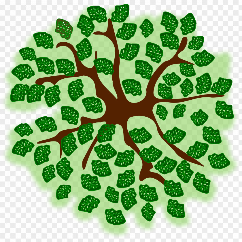 Leaf Green Tree Font PNG