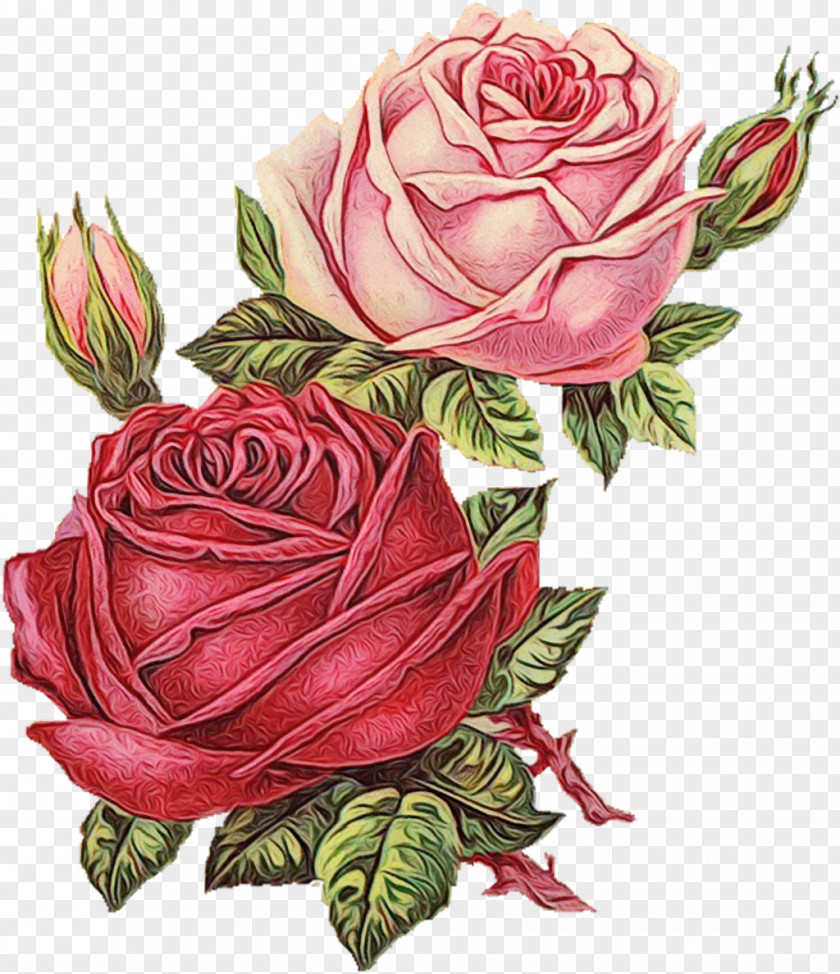 Plant Stem Camellia Flower For Invitation Card PNG