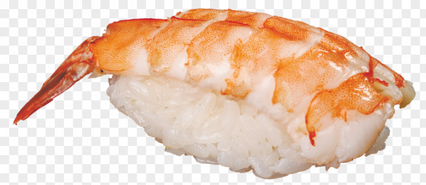 Sushi Onigiri California Roll Caridea Crab Meat PNG