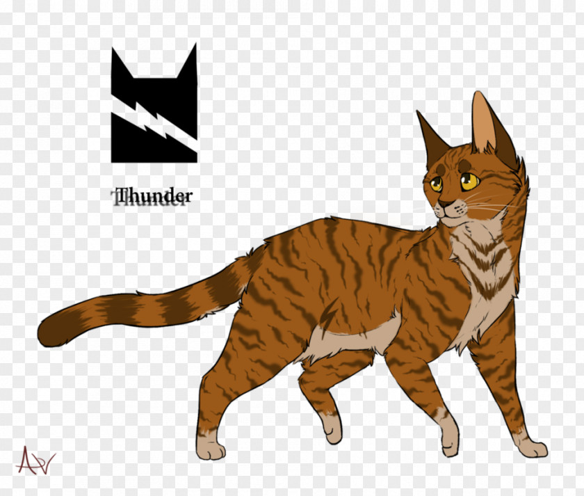 THUNDER CATS Toyger Manx Cat California Spangled Whiskers Kitten PNG