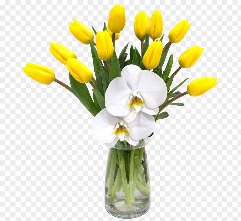 Tulip Floral Design Cut Flowers Vase PNG