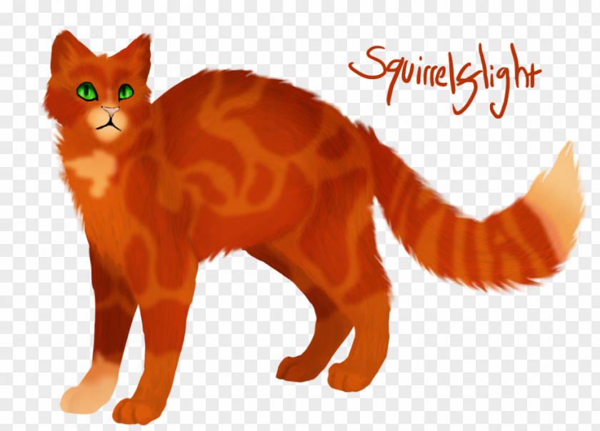 Heart Spot Kitten Whiskers Cat Warriors Squirrelflight PNG