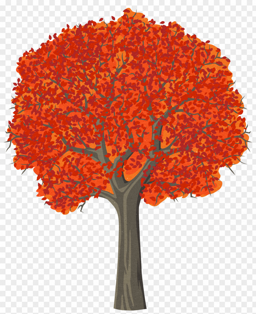 Cartoon Tree, Tree Drawing Clip Art PNG