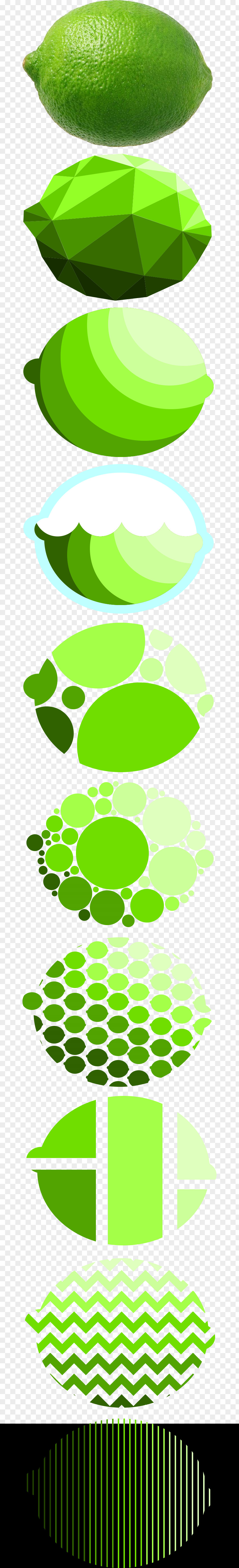 Lime Limey Fruit Line Shape PNG