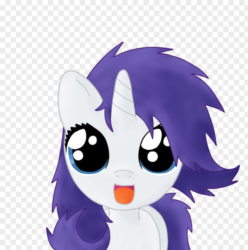 Mane Rarity Pony Rainbow Dash Pinkie Pie Whiskers PNG