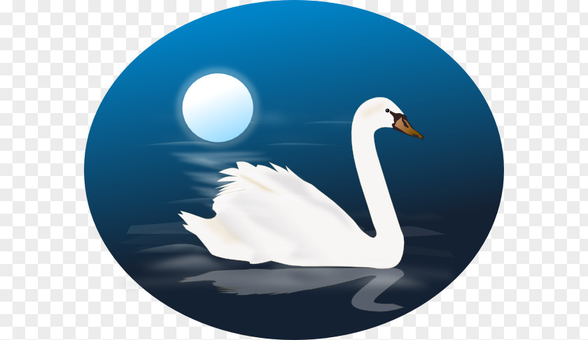 Swan Cliparts Bird Black Cygnus Clip Art PNG