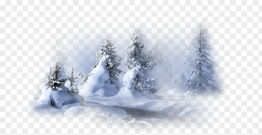Winter Landscape Image Snow PNG