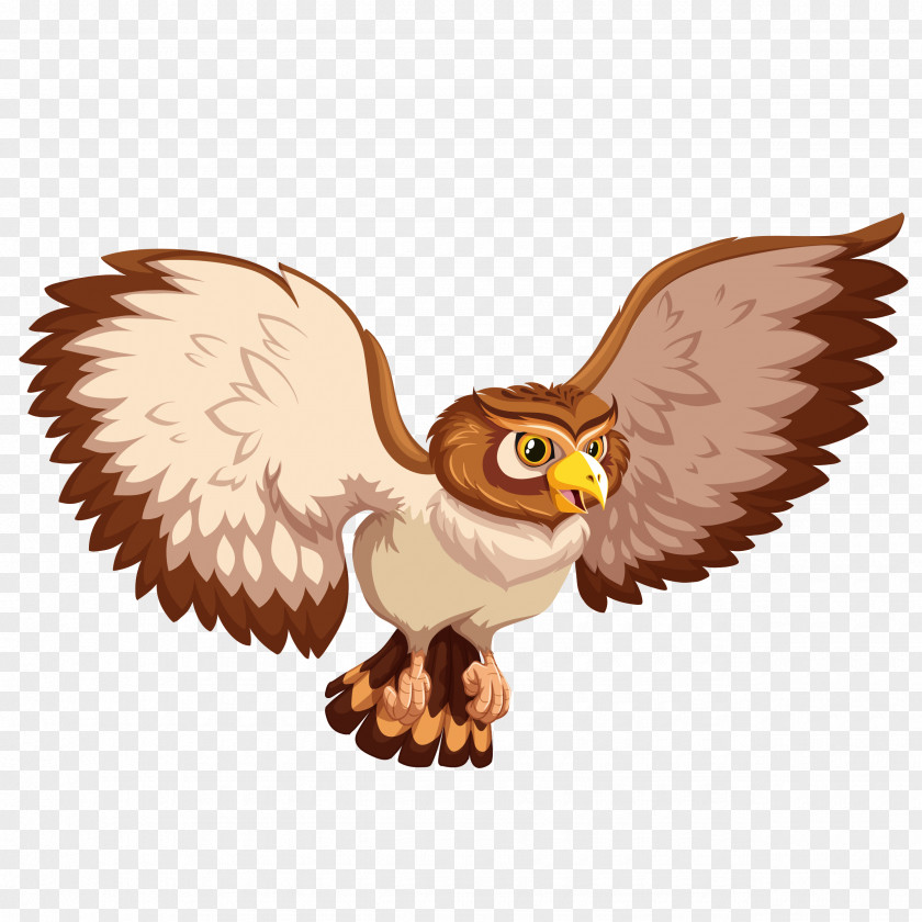 Big Owl Vector Graphics Clip Art Bird Illustration PNG