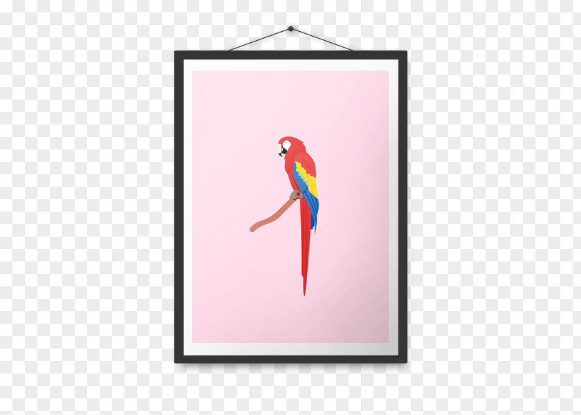 Company Poster Macaw Parrot Beak Penguin Visual Arts PNG