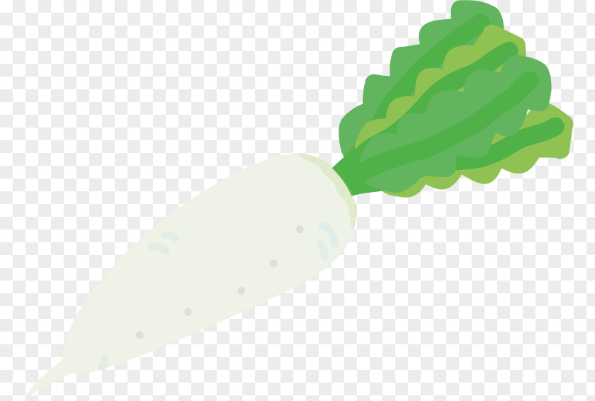 Design Daikon Ingredient PNG