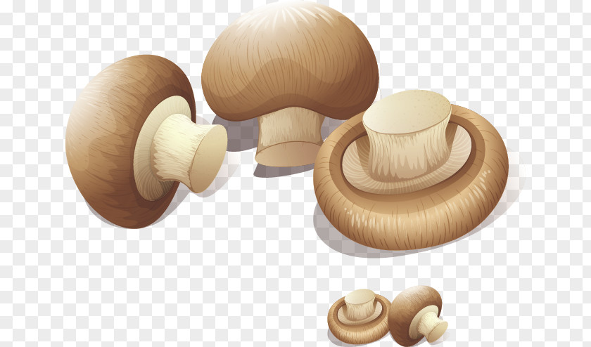 Exquisite Cartoon Mushrooms And Vegetables Shiitake Mushroom PNG