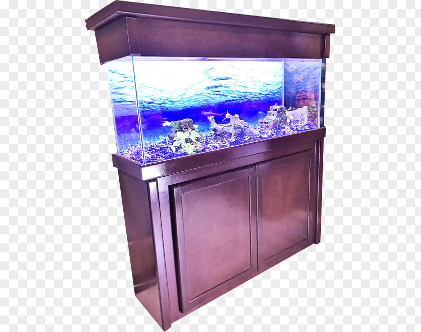 Fish Tank Reef Aquarium Lighting Furniture R & J PNG