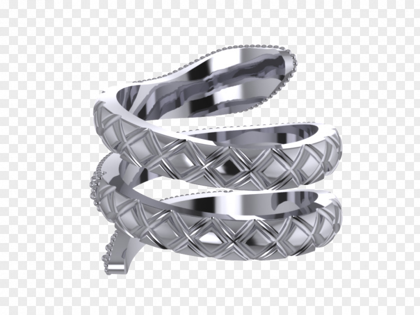 Jewellery Model Silver PNG