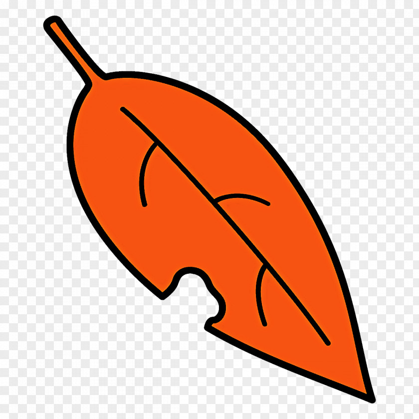 Orange PNG