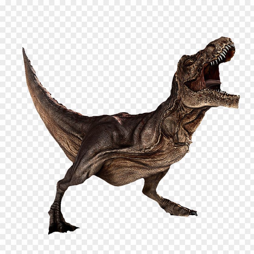 Realistic Roar Dinosaurs Dinosaur Tyrannosaurus Rex Carnotaurus PNG