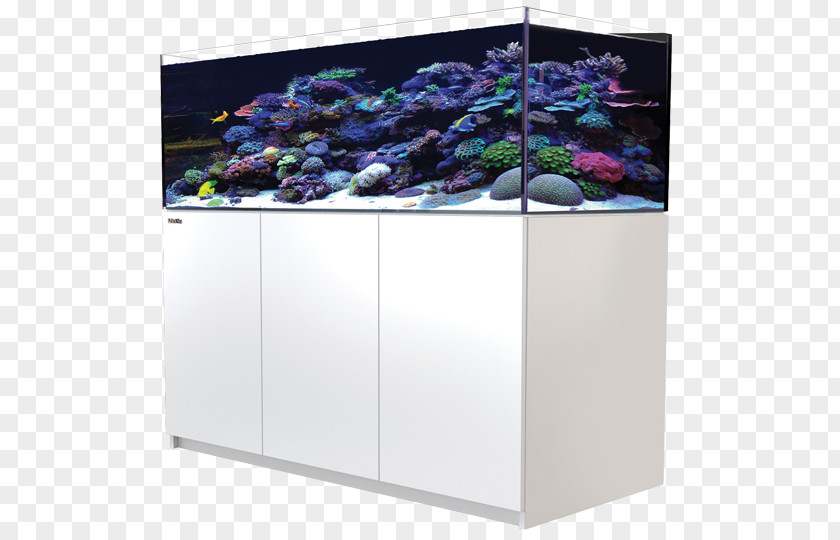 Sea Red Reefer XL 525 425 Aquariums Reef Aquarium 350 PNG