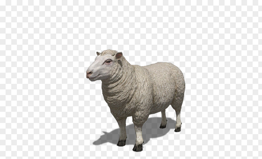 Sheep Farming Simulator 17 18 14 L'élevage Des Moutons PNG